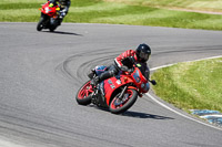 enduro-digital-images;event-digital-images;eventdigitalimages;lydden-hill;lydden-no-limits-trackday;lydden-photographs;lydden-trackday-photographs;no-limits-trackdays;peter-wileman-photography;racing-digital-images;trackday-digital-images;trackday-photos